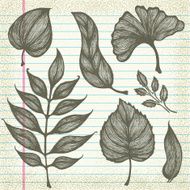 Hand-Drawn Leaves on Old Paper N2