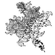 Chrysanthemum N8