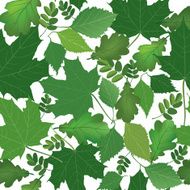 Summer leaves vector seamless pattern over white N2