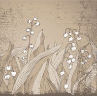 Grunge Lilly-of-the-Valley