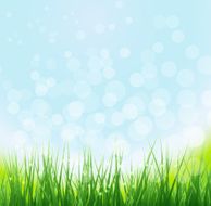 nature background N36