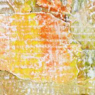 Grunge Background N1191