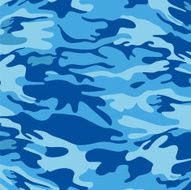 Military camouflage background N4