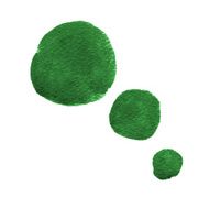 Circles N47