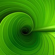 Texture of a green leaf