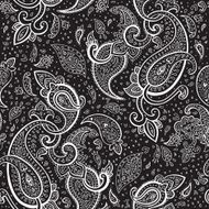 Elegant Hand drawn Paisley pattern N4