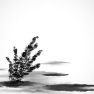 abstract black and white Chinese painting material background N2