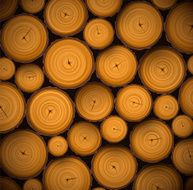 Pile of wood logs