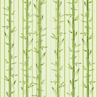 green bamboo with stripe N2