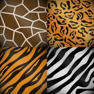 Textures of the safari's animals