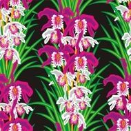Orchids Seamless Pattern