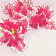 Background with three red tulips N2