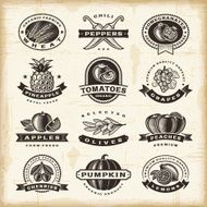 Vintage fruits and vegetables labels set