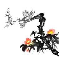 plum blossom flowers