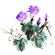 morning glory flowers