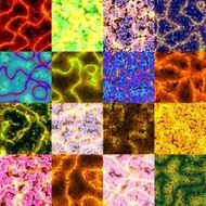 Set of microscopic structures