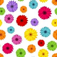 Seamless background with colored gerbera Vector illustration