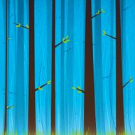 Forest N91