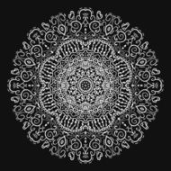 Vintage antique ornament background N2