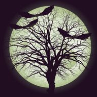 Night Of Full Moon N2