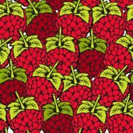 Raspberry seamless pattern N9