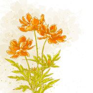 Cosmos flowers on textured background N2