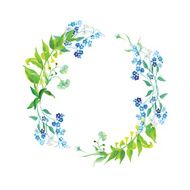 Forget-me-not and herb watercolor round vector frame