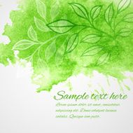 Watercolor green leaf design element Vector illustration N4