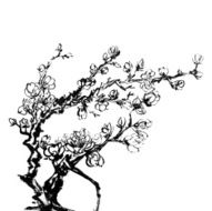 Plum blossom N16