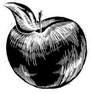 Apple reverse ink