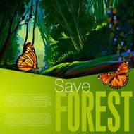 Beautiful Forest N3