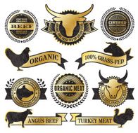 Organic Meat Poultry Grunge Black and Gold vector icon set N3