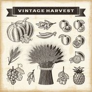 Vintage harvest set