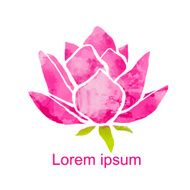Watercolor pink lotus flower isolated on white background N2