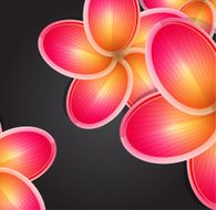 Vector flower background N14