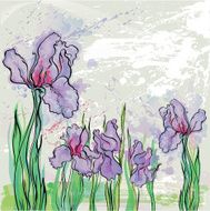 Irises N5