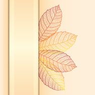 Ornamental background with art autumn leaves Layered vector