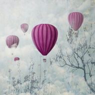 Pink Balloons N4