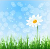 nature background N37