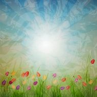 Summer Abstract Background with grass and tulips against sunny sky