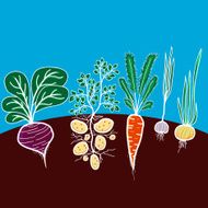 Illustration with growing vegetables