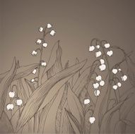 Vintage Lilies of the Valley