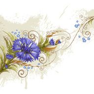 Cornflower N2