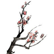 Plum blossom N19