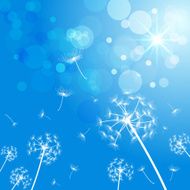 flying dandelion pattern with blue sky