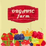 Organic Berry Farm Sign