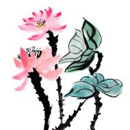 lotus flowers N2