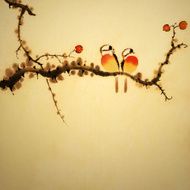 Birds N129