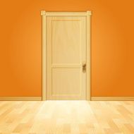Wooden door N2