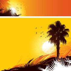 Summer sun backgrounds N2